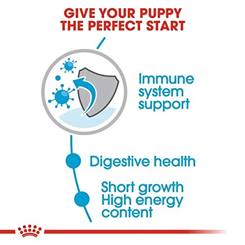 ROYAL CANIN HÚMEDO Medium Puppy Comida húmeda para Cachorros de Raza Mediana - sobre 140gr