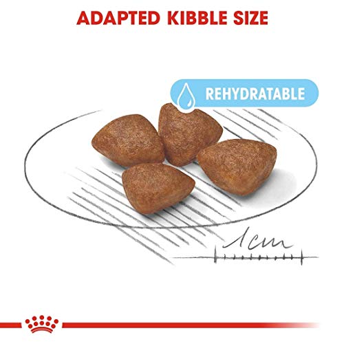 ROYAL CANIN Mother and Babydog Mini Starter - Comida para perros raza pequeña