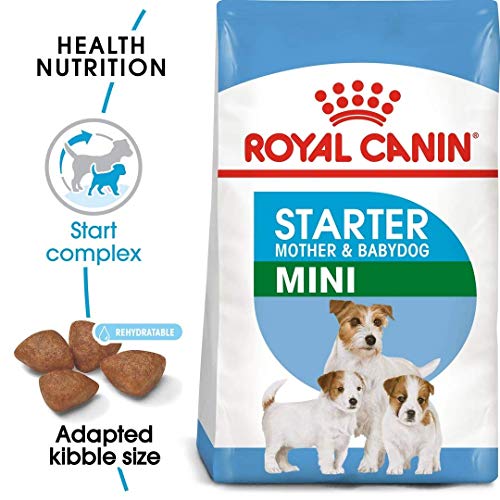 ROYAL CANIN Mother and Babydog Mini Starter - Comida para perros raza pequeña