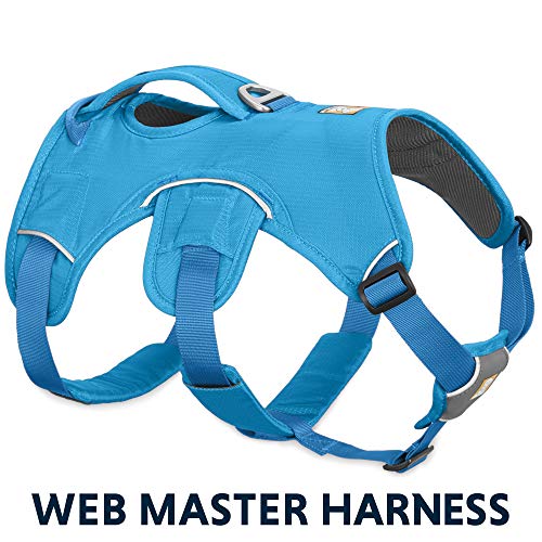 RUFFWEAR Arnés para Perro Web Master