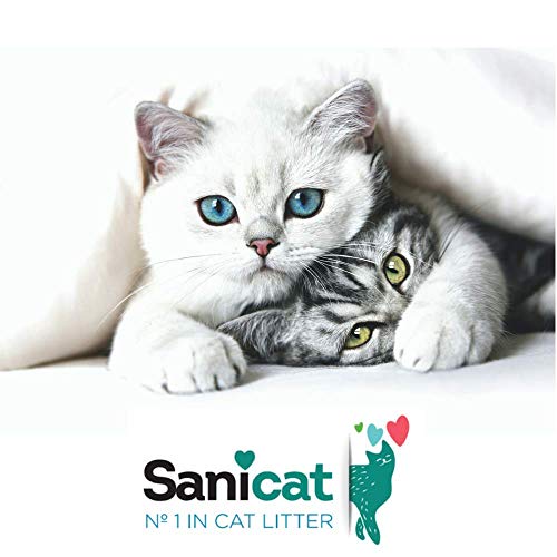 SANICAT Oxygen Power, Arena de Gatos Absorbente - 10L