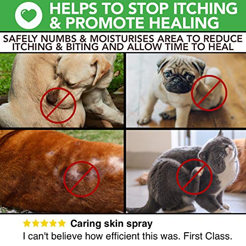 Spray completamente natural para el cuidado de la piel con comezón y de heridas para perros y gatos | Alivio de la comezón y cuidado de la piel | Tratar la picazón, la piel agrietada y las heridas