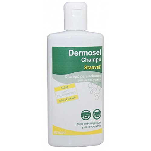 Stangest Dermosel - Champú para Perros y Gatos, 250 ml