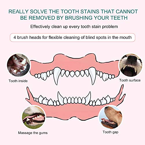 SUNJULY Cepillo de Dientes eléctrico para Mascotas, removedor de sarro para Gatos y Perros, pulidor de Dientes con 4 Cabezales de Cepillo, para el Cuidado Dental de Las Mascotas, Verde/Rosa (Rosa)