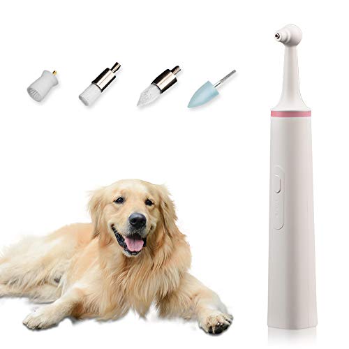 SUNJULY Cepillo de Dientes eléctrico para Mascotas, removedor de sarro para Gatos y Perros, pulidor de Dientes con 4 Cabezales de Cepillo, para el Cuidado Dental de Las Mascotas, Verde/Rosa (Rosa)