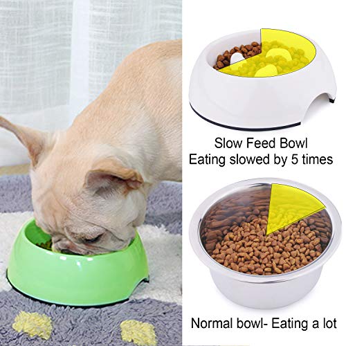 Super Design Comedero Lento en Melamina, Comedero Antivoracidad Antideslizante para Perros y Gatos, Ralentizar la Comida