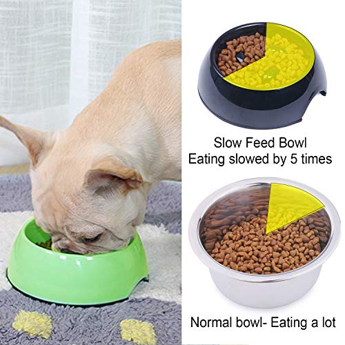 Super Design Comedero Lento en Melamina, Comedero Antivoracidad Antideslizante para Perros y Gatos, Ralentizar la Comida