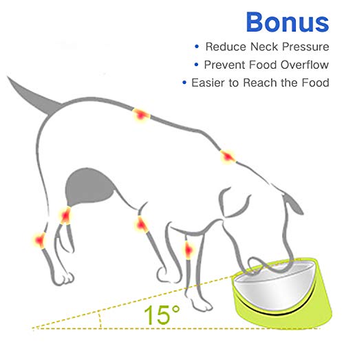 Superdesign Comedero Perro Inclinado Comedero Gato Poco Profundo con Cuenco INOX de inclinación 15 °