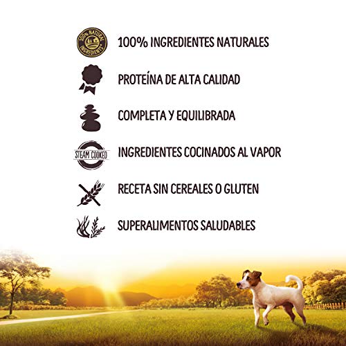 True Instinct No Grain Mini Paté de Pavo para Perros 150 gr - Pack de 8