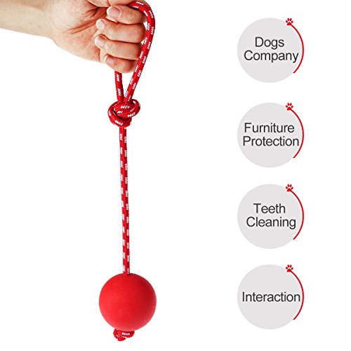 UEETEK Bola de Juguete Masticar Goma de Mascota con la Cuerda, Perro Lanzador de Bola Interactiva para Mascotas Jugando Ejercicio de Entrenamiento, Bola de Diámetro 7.5cm