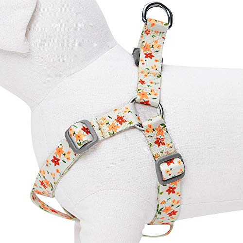 Umi. by Amazon - Made Well - Arnés para perros con estampado de flores M, contorno del pecho 51-66 cm, arneses ajustables para perros (marfil)