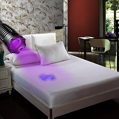 UV Luz Lámpara, Ahome Ultravioleta 395nm LED Linterna, Detector de Manchas de Orina, Buscador de Chinches, Perro/Gato Quitamanchas