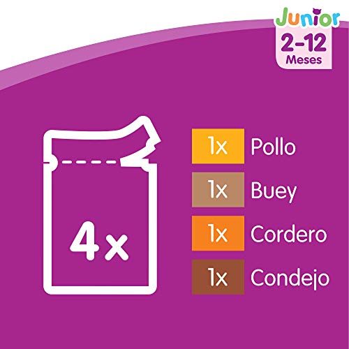 Whiskas Multipack de 4 bolsitas de 100g de selección de carnes para gatos junior (Pack de 13)