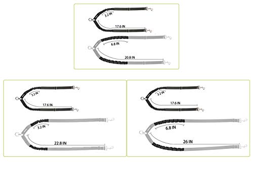 Yangbaga Correa Perro Doble Correa Perro Extensible y Reflectante Correa Perro Elastica para Perro Pequeño y Perro Mediano(2,2 * 116cm)