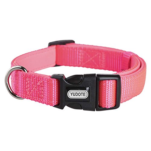 Yudote - Collar de perro de nailon, ajustable, con acolchado de neopreno suave para cachorros, tamaño pequeño, mediano y grande, uso diario