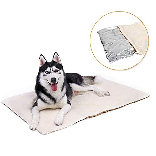 AIDIYA Manta Polar para Gato Perro Manta Suave para Sofá 65 x 45cm