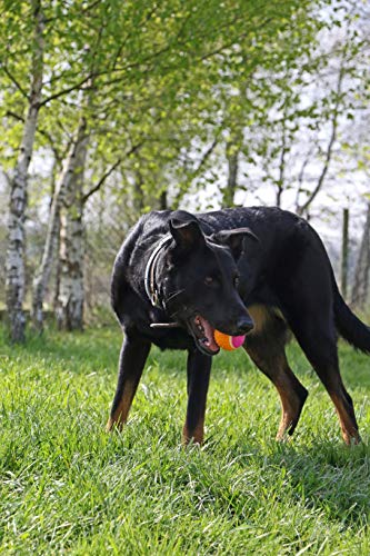 Aimé 901635 Juguete Pelota 5 Sentidos, 6 cm