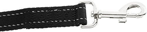 AmazonBasics - Correa para perro con mango acolchado, 1,21 m, Negro