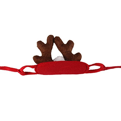 beiguoxia Navidad Disfraz mascotas perro gato alce ciervo sombrero Cap Party Cute Headwear