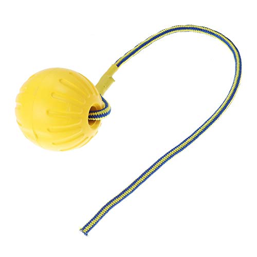 BOENTA Juguete para Mascotas Perro Bola Pelota de Perro en Cuerda Resistente Dientes de Perro de Juguete Pelotas Chuckit para Perros Pet Interactivo Bola l-9cm