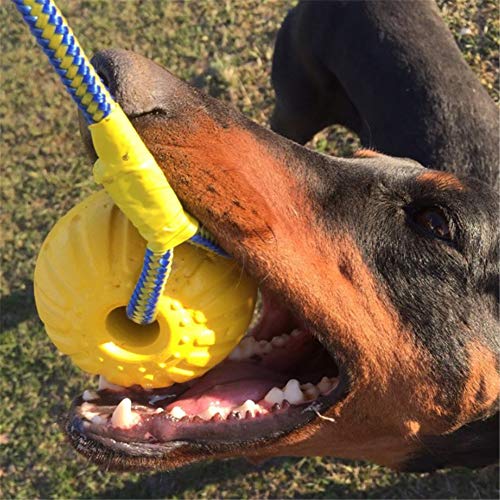 BOENTA Juguete para Mascotas Perro Bola Pelota de Perro en Cuerda Resistente Dientes de Perro de Juguete Pelotas Chuckit para Perros Pet Interactivo Bola l-9cm