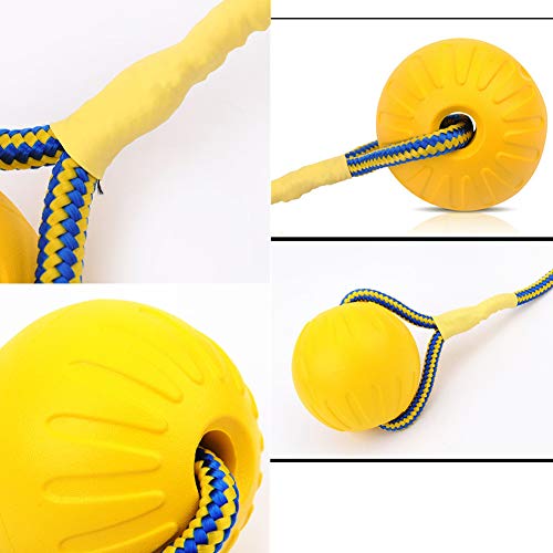 BOENTA Juguete para Mascotas Perro Bola Pelota de Perro en Cuerda Resistente Dientes de Perro de Juguete Pelotas Chuckit para Perros Pet Interactivo Bola l-9cm