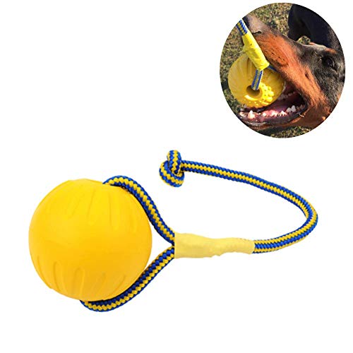 BOENTA Juguete para Mascotas Perro Bola Pelota de Perro en Cuerda Resistente Dientes de Perro de Juguete Pelotas Chuckit para Perros Pet Interactivo Bola l-9cm