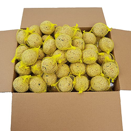 Bolas de grasa para pájaros - 40 bolas = 3,6 kg - Alimento natural con gran aporte energético para aves silvestres - Bolas de grasa con red individual para colgar