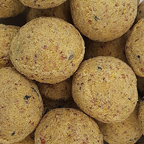 Bolas de grasa para pájaros - 40 bolas = 3,6 kg - Alimento natural con gran aporte energético para aves silvestres - Bolas de grasa con red individual para colgar