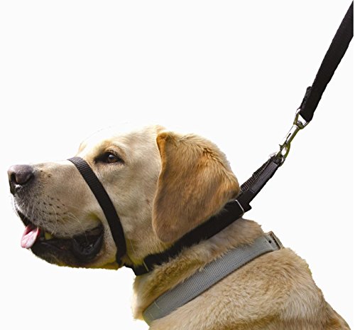 Canny The Collar: Ayuda Simple y efectiva con el Entrenamiento del Perro y Evita Que los Perros tiren de la Correa