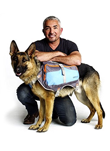 Cesar Millan Mochila Perro™