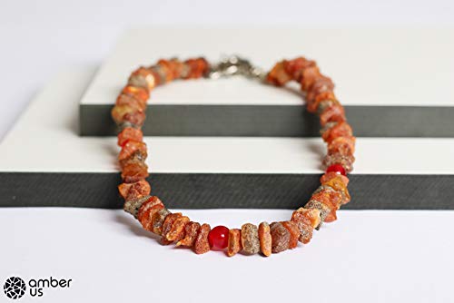 Collar ámbar báltico para Perros y Gatos con Cadena metálica Ajustable Decorada con de Jade Rojo | Ayuda a Evitar Las garrapatas y Las pulgas | Hecho de ámbar báltico Natural sin pulir