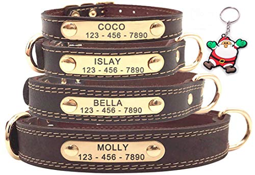 Collar para perro de cuero personalizable de gran calidad, con placa de identificación para grabar, tacto suave de piel auténtica, ajustable, perfecto para perros pequeños, medianos y grandes