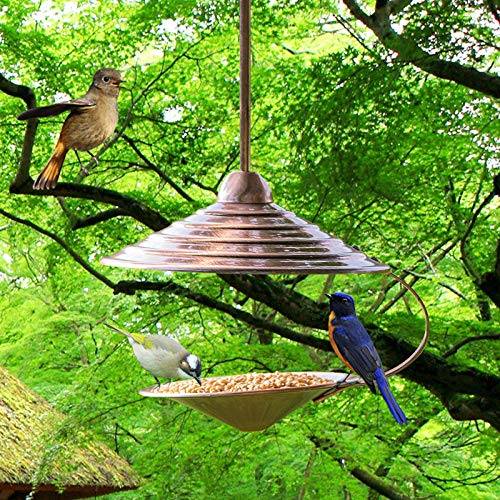 Comedero Pajaros Silvestres Bird Feeder Alimentador De Aves Al Aire Libre Contenedor De Caja De Aves Utensilios De Aves Artículos De Venta Beneficiosos Para Jardín De Comedero De Pájaros De Paloma