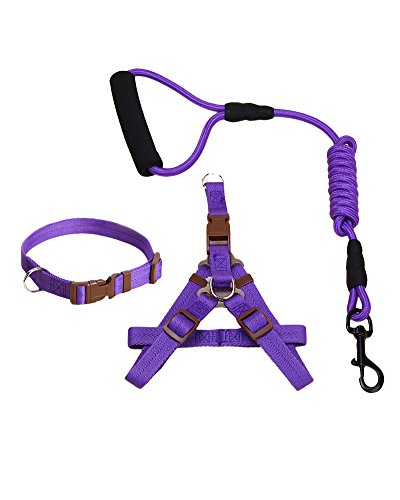 Correa para perros en cuerda de escalada de montaña hecha de cuerda de nylon muy resistente y confortable al tacto, absorbe la estirada de tu mascota. Ideal para razas Pequeñas, Medianas a Grandes Purple3-piece M