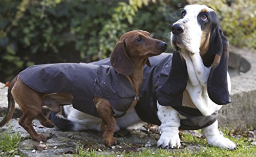 Croci Acolchada Chaqueta Tipo de Ajuste para Teckel y Basset Hound para Perros, 54 cm