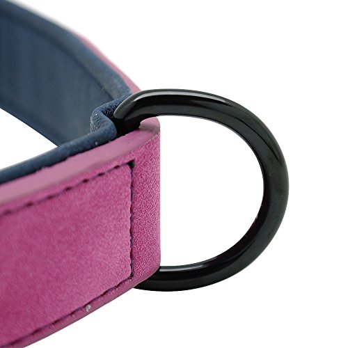 Didog - Collar de piel suave acolchada personalizable para perro, chapa de nombre, anilla en D, collar grabado para perro, tamaños pequeño, mediano y grande