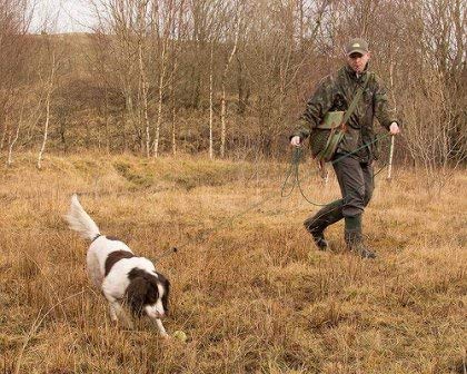 Dog & Field - Correa de Entrenamiento para Perros (2 en 1, 10 m, Nailon Trenzado)