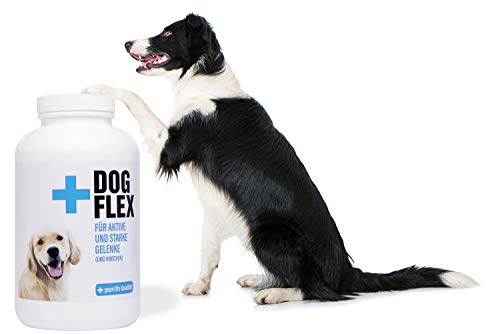 dogflex Suplemento nutricional articulaciones para perros, color verde lipp caracola polvo perro, protección contra artrosis | Glucosamina, Chon droitin, MSM, harpagófito hochdosiert, 150 pastillas