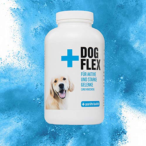 dogflex Suplemento nutricional articulaciones para perros, color verde lipp caracola polvo perro, protección contra artrosis | Glucosamina, Chon droitin, MSM, harpagófito hochdosiert, 150 pastillas