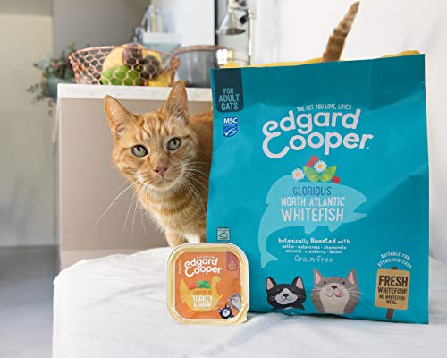 Edgard & Cooper Comida humeda Gatos Adultos sin Cereales, Natural con Pavo Fresco y Gambas. Comida Sana Rica en nutrientes y antioxidantes Naturales Pack tarrinas de 19x85gr