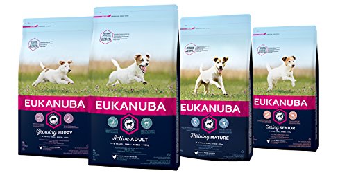 EUKANUBA Eucalipto Nuba Senior trockenfutter para Antiguos pequeños Perros con Fresca Gallina