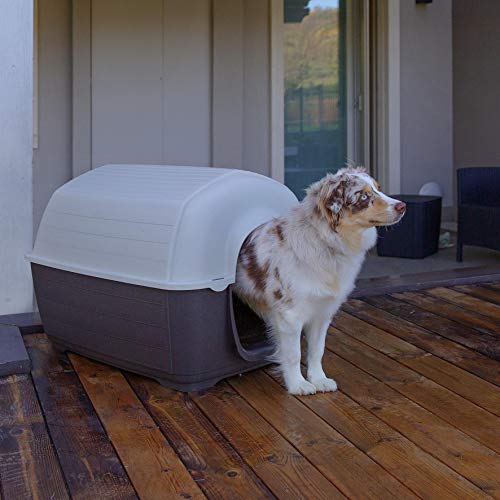 Ferplast Caseta de Exterior para Perros Kenny 03, Resina termoplástica Resistente a los Golpes y a los Rayos UV, Sistema de Drenaje de líquidos, Rejilla de ventilación, 60 x 89 x h 60 cm