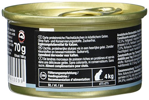 GimCat ShinyCat in Jelly – Comida para gatos con pescado en gelatina para gatos adultos – Atún con gambas – 24 latas (24 x 70 g)