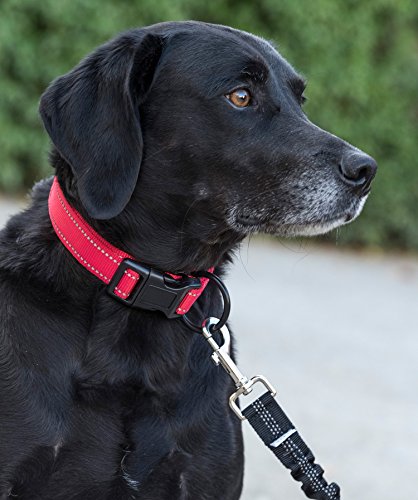 Happilax Collar para Perro pequeño y Cachorro, Acolchado con Neopreno, Ajustable y Reflectante, Rojo