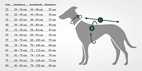 HUNTER - Abrigo para Perro (40 cm), Color Antracita y Rojo