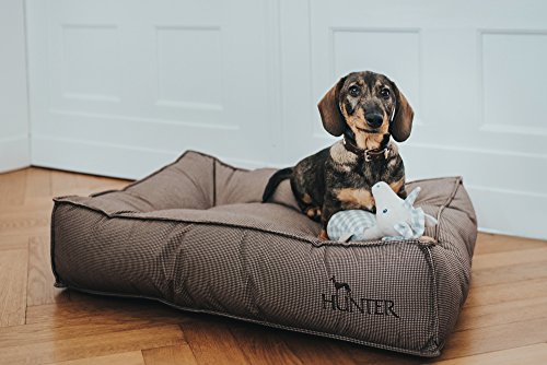 HUNTER Lancaster Cama para Perros