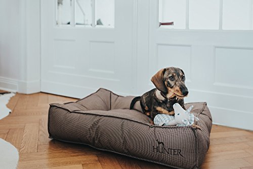 HUNTER Lancaster Cama para Perros