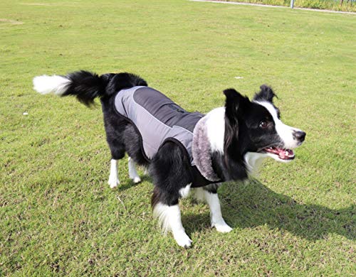 Idepet Chaqueta abrigada para perros, traje para nieve resistente al agua para mascotas, ropa reflectante a prueba de viento para perros pequeños, medianos y grandes, forro de algodón suave