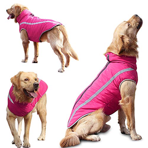 Idepet Impermeable Abrigo para perros Chaqueta abrigadora de invierno, Ropa impermeable para perros al aire libre Traje Chaleco para perros pequeños medianos grandes con orificio para arnés